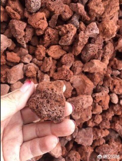 火山岩用途:买的盆栽里的红色碎石是什么？
