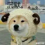 微信穷人图片<a href=https://maguai.com/list/39-0-0.html target=_blank class=infotextkey>搞笑</a>:哪些<a href=https://maguai.com/list/39-0-0.html target=_blank class=infotextkey>搞笑</a>图片，曾让你大笑不止