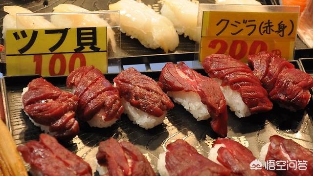 矛齿鲸骨骼:日本人捕杀一头成年蓝鲸可以获得多少利润？