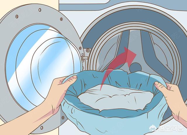 北非沙鼠要多大的笼子:家里养宠物，如何净化空气？