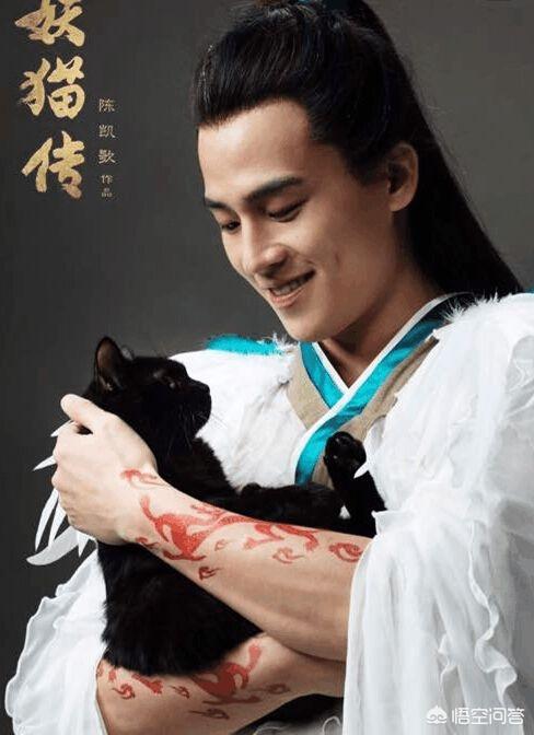 愤怒的猫咪下载:武则天为何怕猫？慈禧为何忌讳羊？ 猫咪愤怒的声音