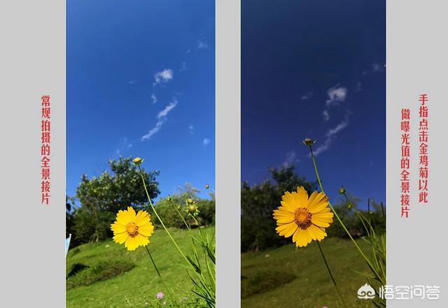 手机全景照片拍摄小技巧是什么全景拍摄手机横拍不了怎么办(手机全景照片拍摄技巧)