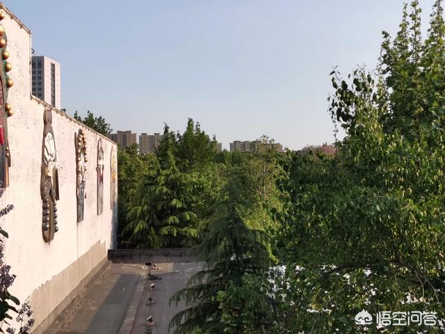 北大弑母案:北大吴谢宇弑母真相动机到底为何？看到好几个报道一脸懵逼？