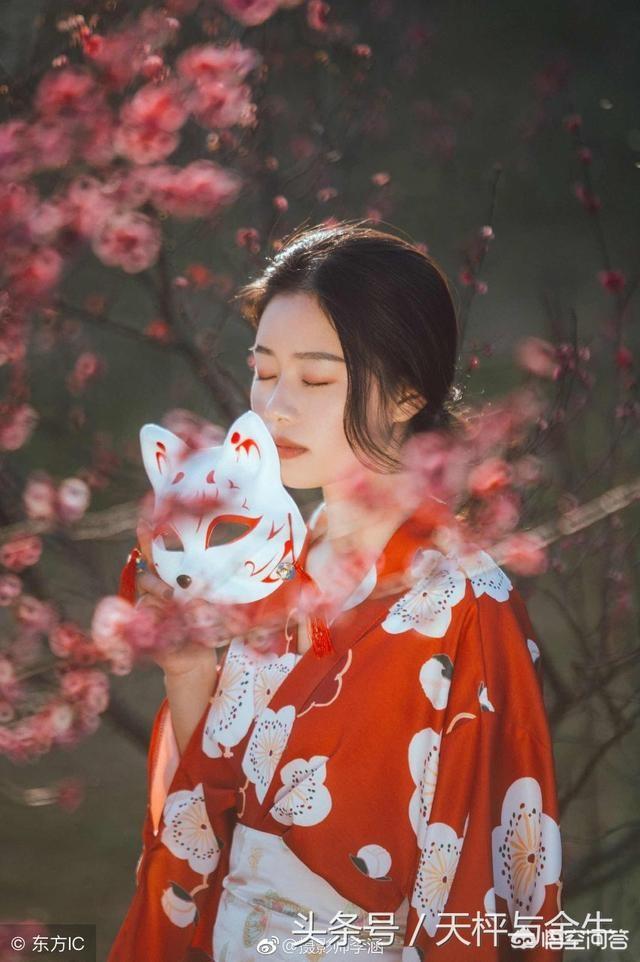 竹内云子:如何评价电视剧《五号特工组》