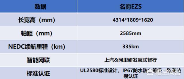 国产纯电动汽车，国产车里有没有好看的电动汽车