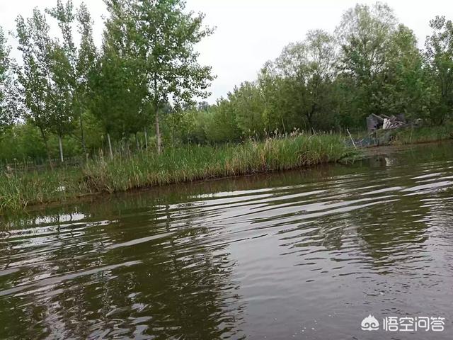 鸡蛋怎么腌才能流油起沙，腌制咸蛋是用泥好还是用盐水好怎样腌制才能使蛋黄出油