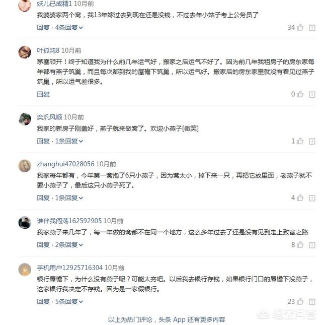燕子美人会跳缸吗:大家认为草缸哪种鱼最好看？