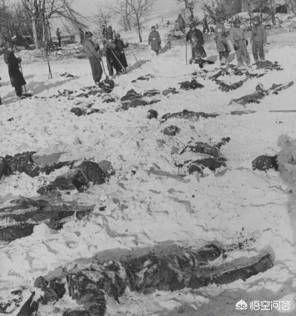 二战丧尸事件，二战时马尔梅迪惨案的真相是什么
