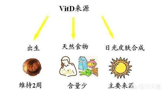 人体该如何补充VD，孕妇缺维生素d，怎么补？