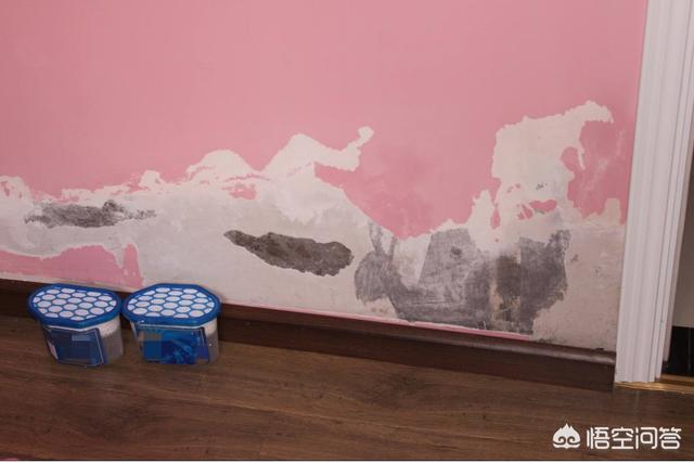 为什么房子没人住会发霉,住了几年的房子，出现小霉点是什么原因？