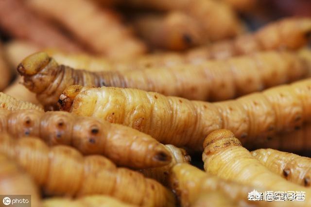 我小时候在农村吃过"扁担钩",大家在农村小时候吃过什么奇葩的食物?