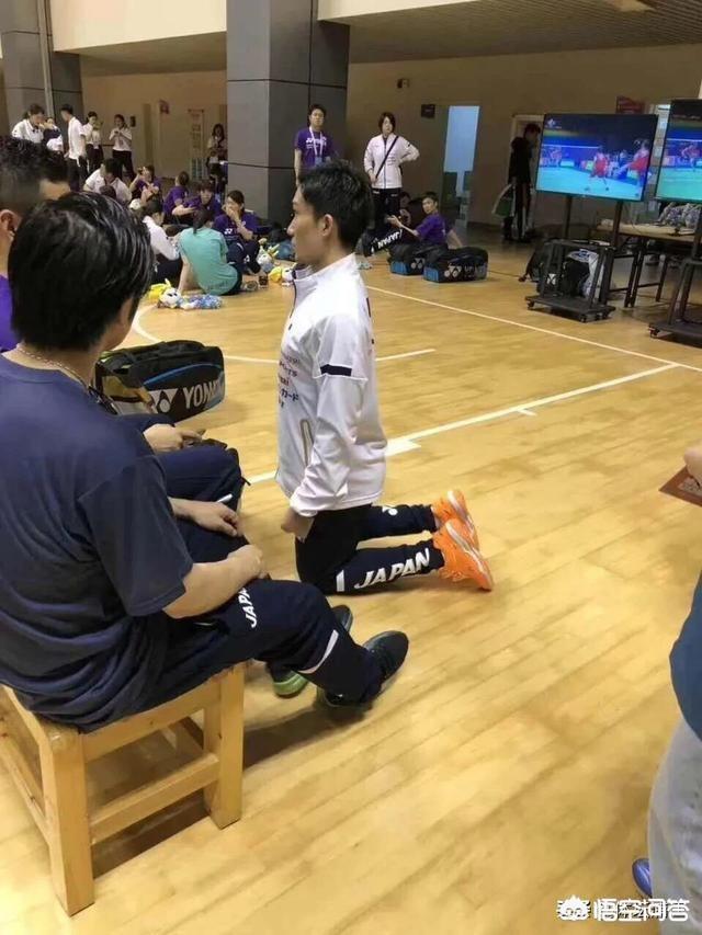 日本飞鼠照片:有球迷拍到日本羽毛球男单选手桃田下跪的照片，你怎么看？