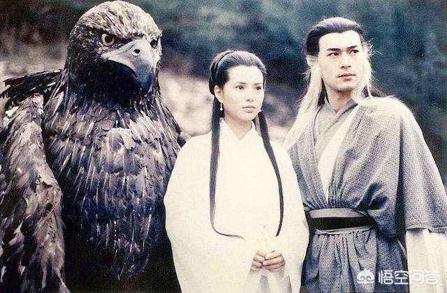 奇异多指节蛙:为何有些人游蛙泳都可以头一直伸出来？
