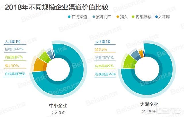 造福鸟招聘:乌鸦和喜鹊可以共同生活吗？ 缤纷鸟招聘