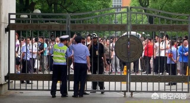 大学校园出现一只监考猫:校园内是否可以养“宠物”？你怎么看？