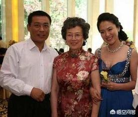 杨振兆个人简介:沈傲君老公个人资料简介？