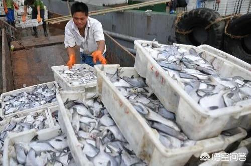 浙江临海警方破获一起特大非法捕捞案，禁渔期依然偷捕，台州45名渔民被判刑, 你怎么看
