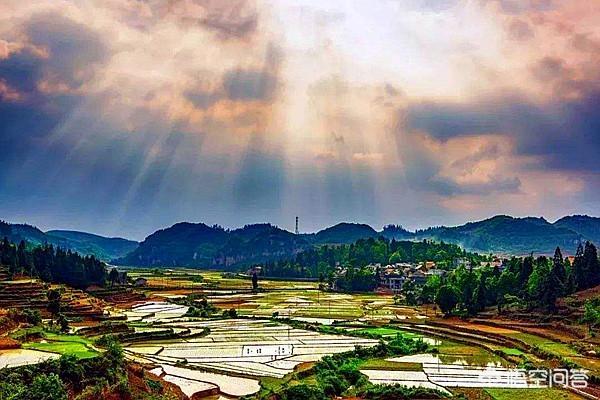 今日芒种，有啥习俗，吃点啥好，如何养生？