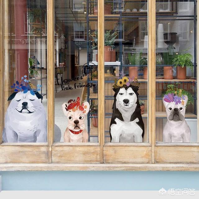 宠物店管理系统 微信:刚开的宠物店适合用宠物店系统吗？有什么系统推荐？