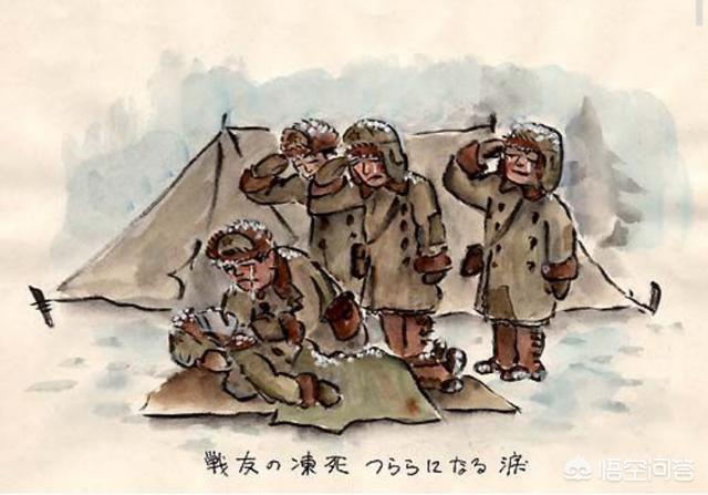 西伯利亚森林猫舍:60万日军俘虏去西伯利亚挖土豆，10年后为什么只回来50万？ Geniegoo西伯利亚森林猫舍