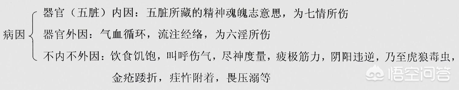 中医诊病说有的内因和外因是指什么？