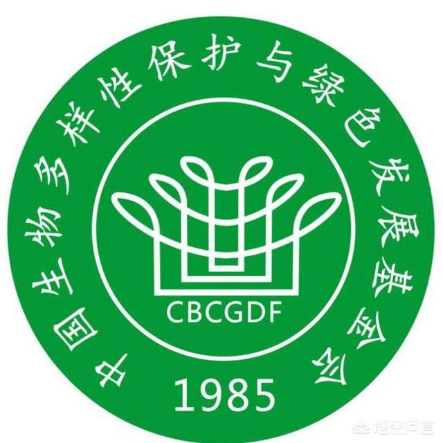 穿山甲灭绝了吗:穿山甲真的要被我们吃灭绝了吗？