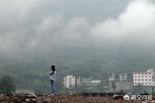 地震后的狗狗高清:狗在地震发生前会有什么反应？ 地震狗狗叫主人