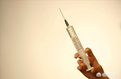 小德牧:小德牧喂羊奶粉后大便不成形了，该怎么办？