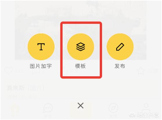 怎么给图片添加文字,手机怎么给图片添加文字？