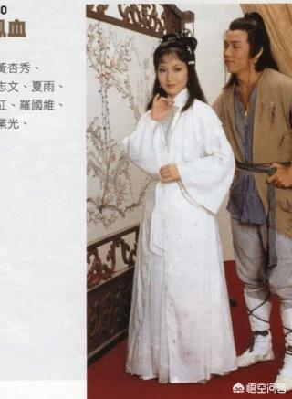黄杏秀老公:黄杏秀演过的电视剧电影？