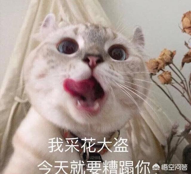 谈恋爱就像打<a href=https://maguai.com/list/48-0-0.html target=_blank class=infotextkey>游戏</a>，是吗为什么说它是<a href=https://maguai.com/list/48-0-0.html target=_blank class=infotextkey>游戏</a>