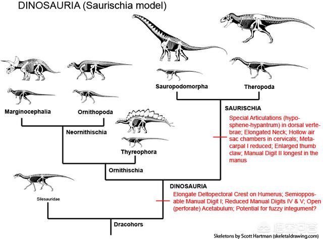 有关恐龙的问题及答案，科学家说恐龙的祖先，是一种水蜥蜴进化而来的，是真的吗