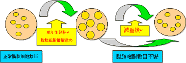 依南衣,衣阿华级战列舰的适航性如何？