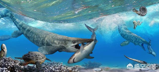 海蛇图片:史前海洋巨兽沧龙是怎样的生物？它们的体型有多大？