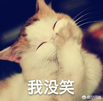 <a href=https://maguai.com/list/256-0-0.html target=_blank class=infotextkey>朋友圈</a>说说心情短语<a href=https://maguai.com/list/39-0-0.html target=_blank class=infotextkey>搞笑</a>:你的<a href=https://maguai.com/list/256-0-0.html target=_blank class=infotextkey>朋友圈</a>有没有一些笑破肚皮的说说？