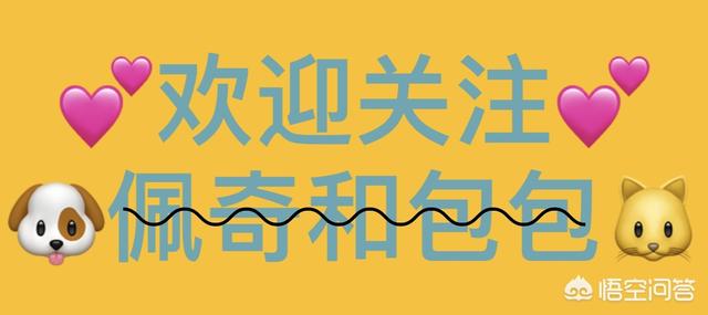 小游戏宠物公园:公园为何都禁止宠物进入？有必要吗？