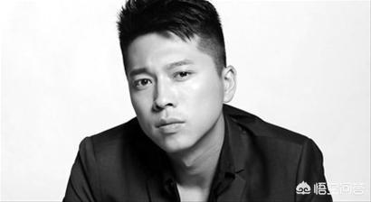 王雷主演的电视剧:如何评价由佟大为、刘诗诗主演的电视剧《如果可以这样爱》