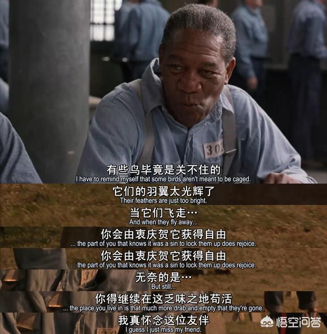 肖申克的救赎主演:电影《肖申克的救赎》为什么有那么高的分