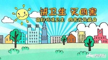 猪场苍蝇太多怎么消灭最好:猪场的蚊子太多，用什么办法最好？
