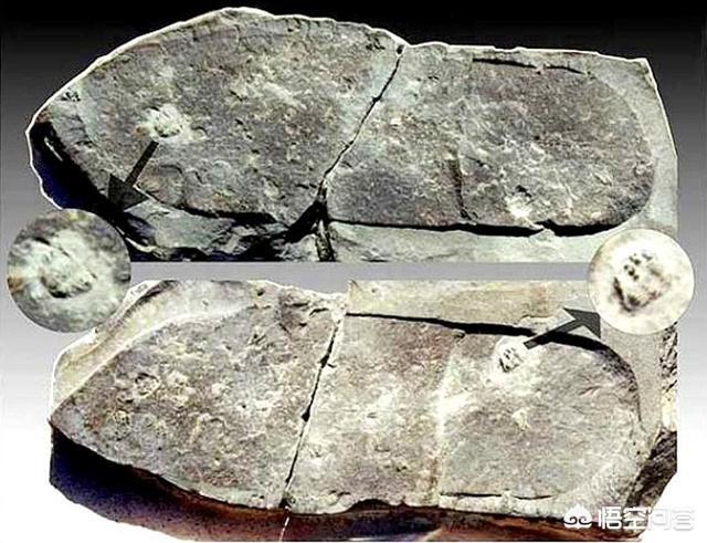 土耳其斗牛场灵异事件:史前人类遗留下的“高科技”，说明人类真的已经毁灭过数次了吗？