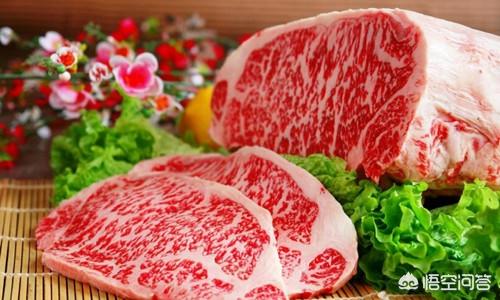 黑贝:黑贝狗前腿弯曲是怎么回事?黑贝狗出现腿拐变形是啥病呢？