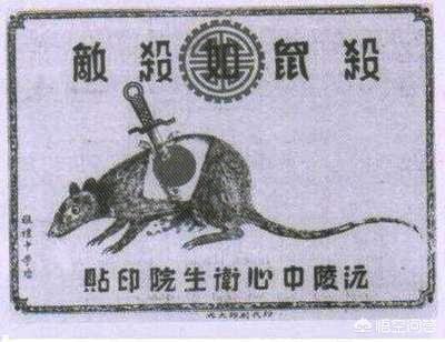北京确诊肺鼠疫新京报:明朝末年席卷华北的鼠疫造成了多大的危害？
