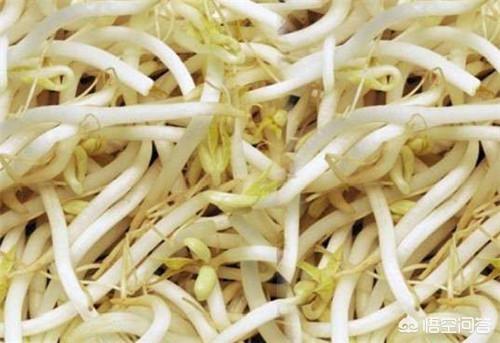 豆芽被称为“掐菜”,豆芽的根有营养吗？该不该去掉吃？豆芽怎么做最好吃？