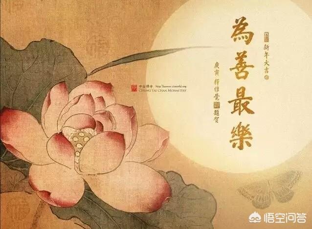 独来独往的人就是孤独的人吗？你觉得什么样的人才是孤独的人？