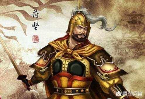 如何评价苻坚？