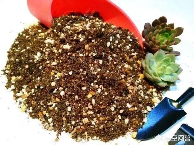 观叶植物营养液花之侣:请问磷酸二氢钾可以和美乐棵营养液一起用吗？