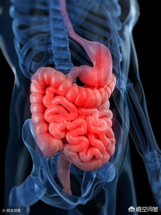 头条问答 - 小时候摔断过肠对怀孕有影响吗?(9个回答)