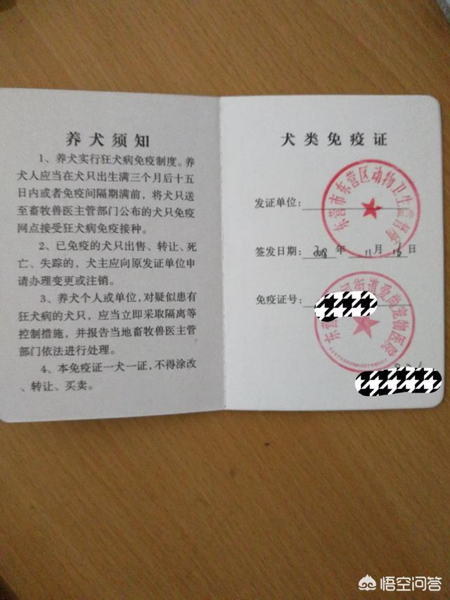 普及宠物狗知识贴:养狗有哪些宠主应该知道的冷知识？ 宠物狗的基础知识大全