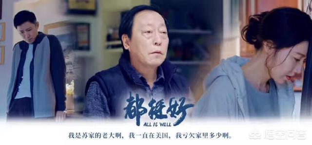 苏明成金句:看了最新的《都挺好》，你支持朱丽跟苏明成离婚吗