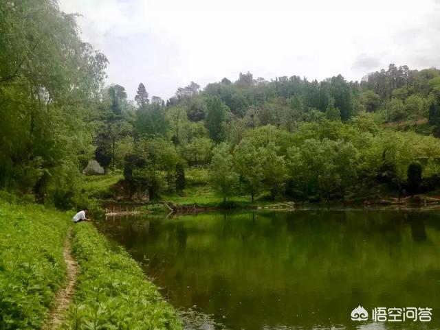张小爆:有的人钓鱼上瘾是什么原因
